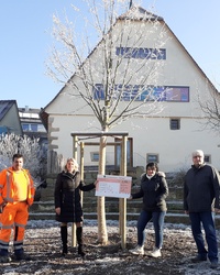 Symbolische Scheckübergabe vor der neu gepflanzten Silberlinde